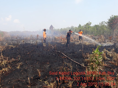 Karhutla di Bengkalis, Tim Gabungan Masih Melakukan Upaya Pemadaman